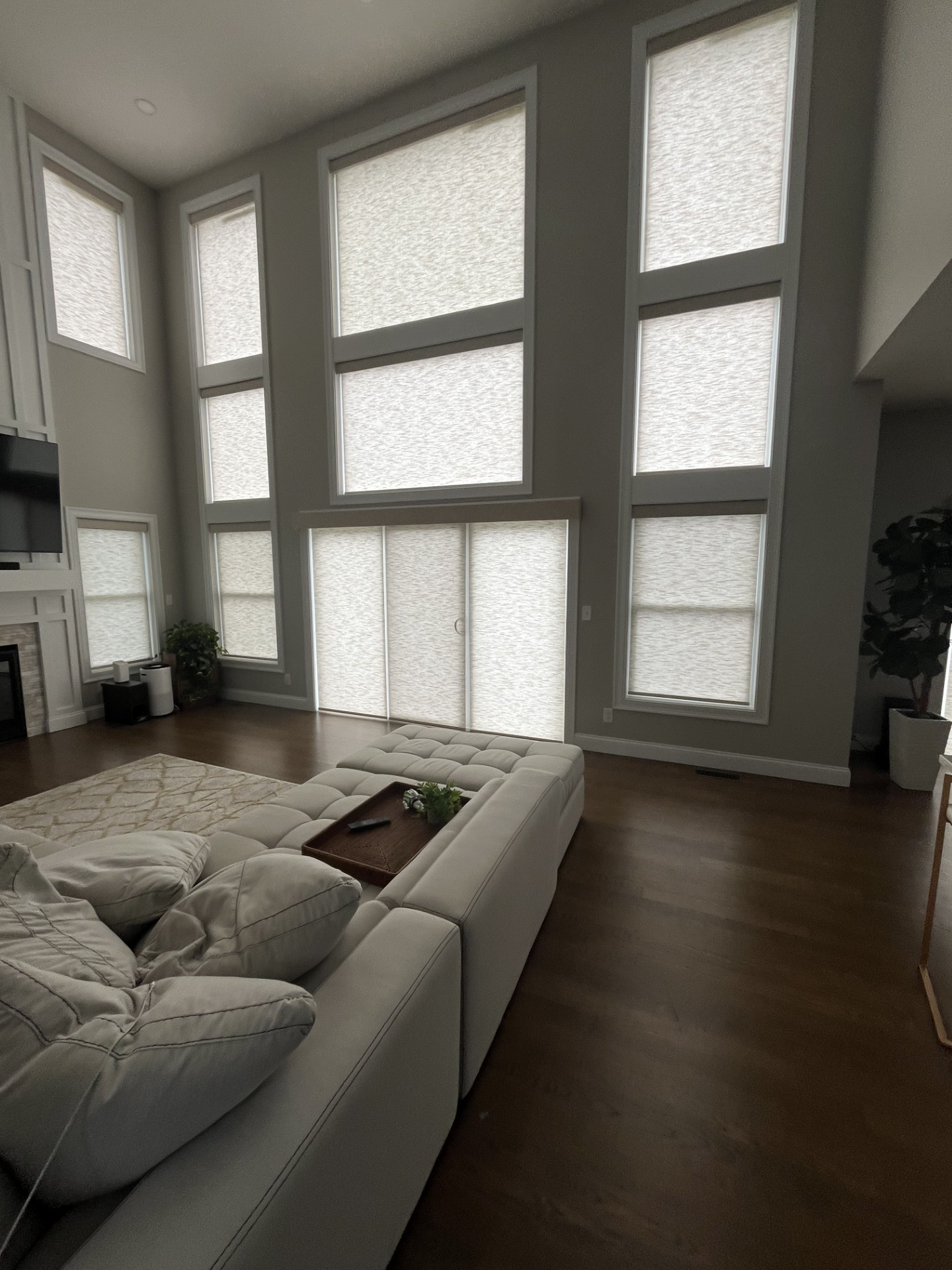 order roller shades near me