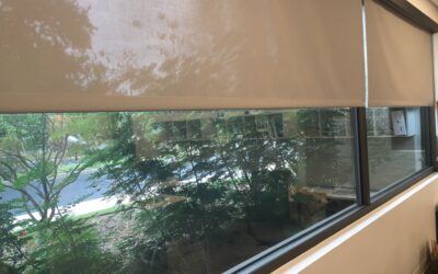 Why Commercial Window Shades Work for Businesses